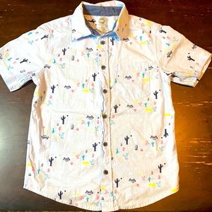 Boy Wonder Nation Cactus & Cars